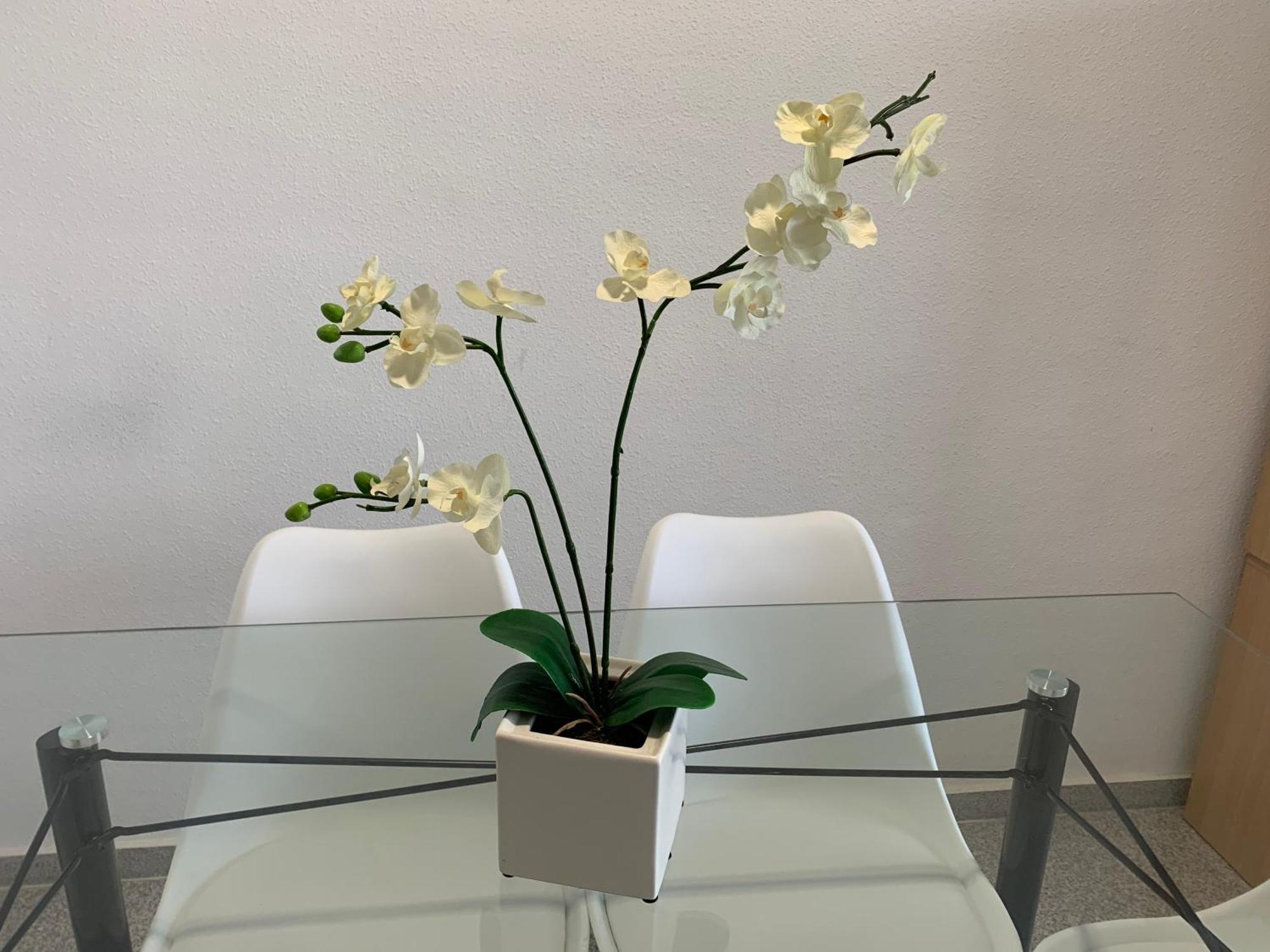 엘 캄펠로 Cabo Mar 아파트 외부 사진